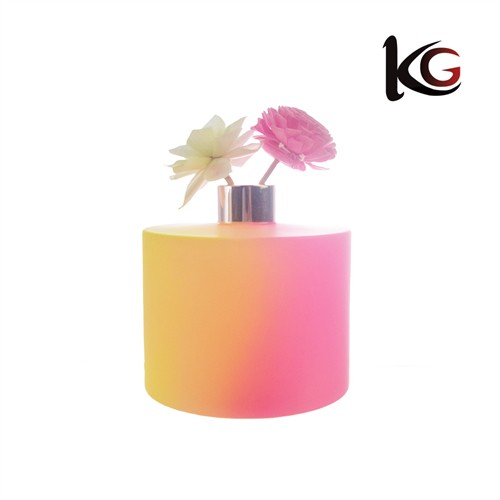 XX7 500ML Perfume Diffuser Bottle